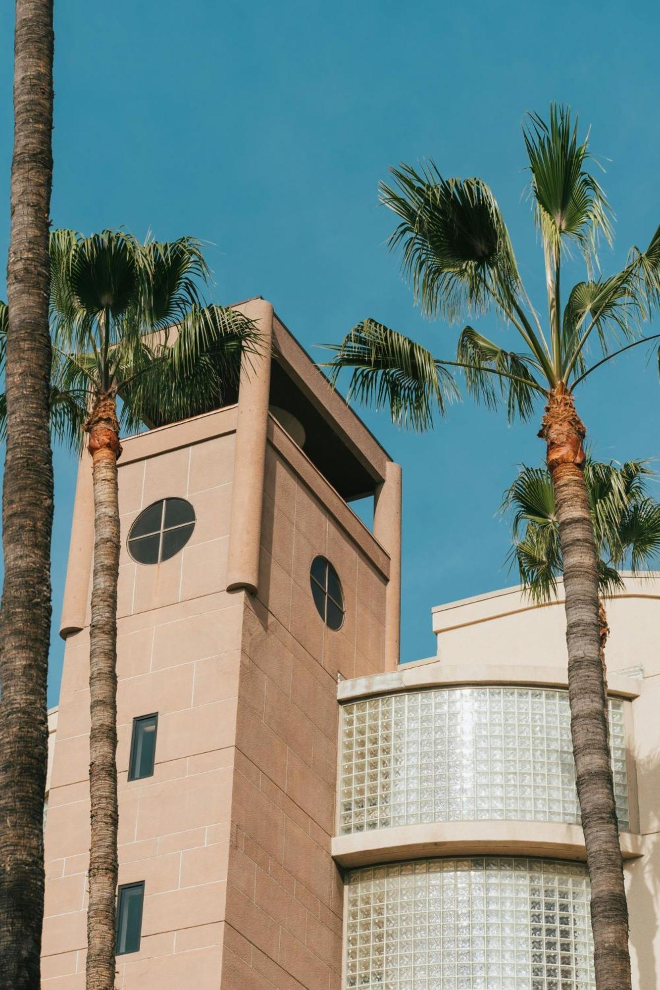 Courtyard By Marriott Los Angeles Lax / Century Boulevard Bagian luar foto